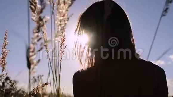 一个漂亮女孩坐在田野里的剪影视频的预览图