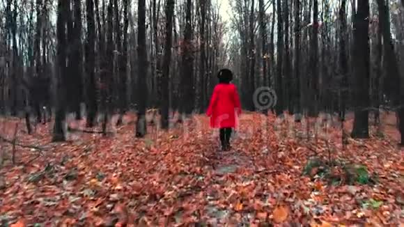 年轻女子独自走在秋林的小径上后景旅行自由自然概念视频的预览图