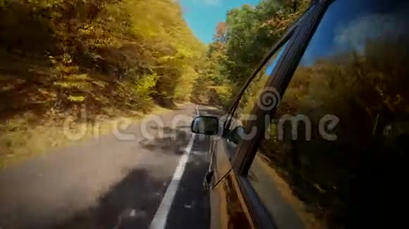 汽车轮胎在阳光明媚的秋天行驶在明亮的秋林中旋转视频的预览图