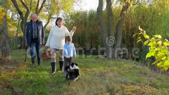 家庭自然之旅有孙子孙女的老人带着狗在秋天公园散步视频的预览图
