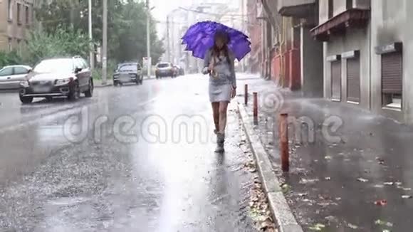 带伞的女人视频的预览图