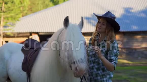 在炎热的夏天一个戴着牛仔帽的年轻女孩在动物农场照顾和抚摸一匹马慢动作视频的预览图