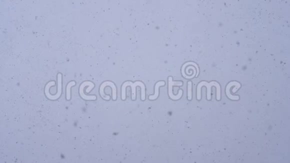 冬季大雪背景下天空中的超级慢动作雪花视频的预览图