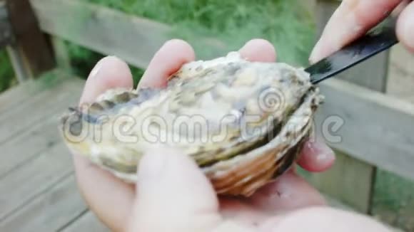 库克拿出一把牡蛎刀视频的预览图