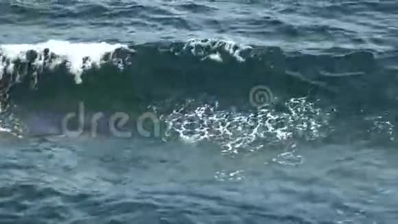 波浪在绿色的蓝色水中视频的预览图