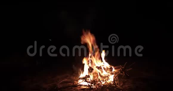 晚上在湖边美丽的篝火黄昏时分在美丽的大自然河流附近的营地燃烧着火焰视频的预览图