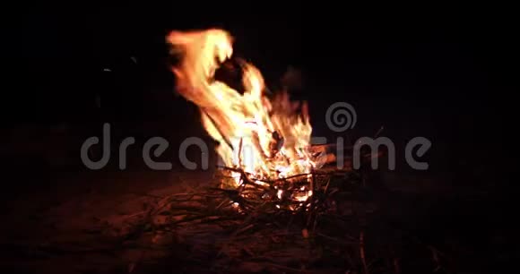 晚上在湖边美丽的篝火黄昏时分在美丽的大自然河流附近的营地燃烧着火焰视频的预览图
