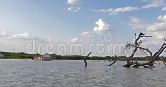 巴林戈湖景观显示水的上升与枯树肯尼亚实时视频的预览图