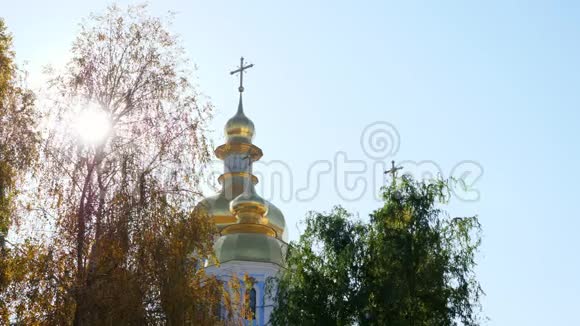 美丽的东正教和秋树基辅视频的预览图