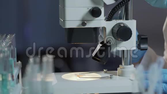 研究分析人员调整显微镜以检测红白细胞视频的预览图