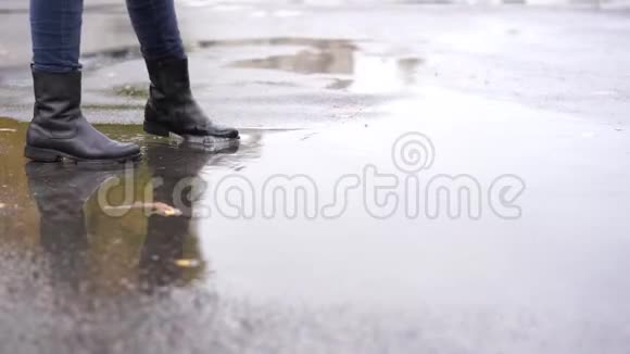 雨中一个穿着黑色皮靴的女孩和一条大白狗在秋天的水坑里散步视频的预览图