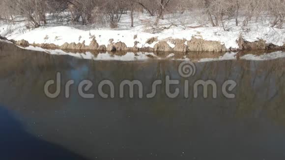 春天从河上的四架直升机上观看河水流淌在白雪和光秃秃的树木之间视频的预览图