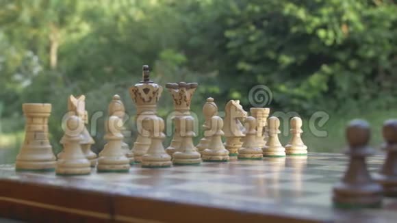 完整的棋盘靠近棋盘上的雕像视频的预览图