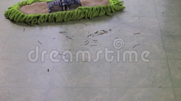 兰毛毡地板被除尘视频的预览图