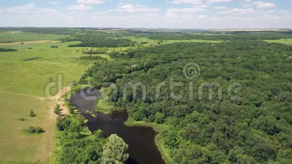 鸟瞰河流和森林俄罗斯的自然美丽的风景视频的预览图