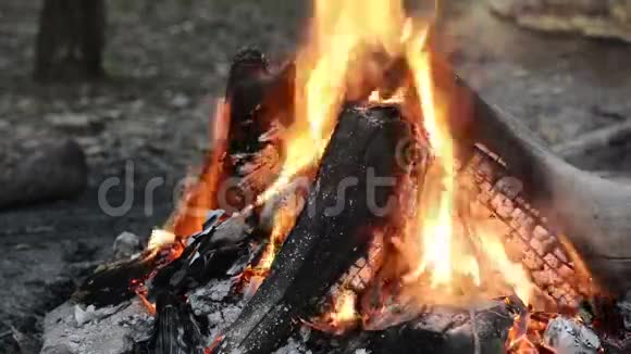 在火上烤棉花糖视频的预览图