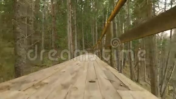 在木桥上飞行视频的预览图