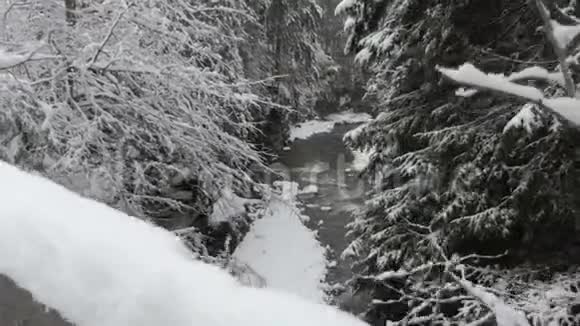 雪季山林中神奇的冬季天气河流视频的预览图