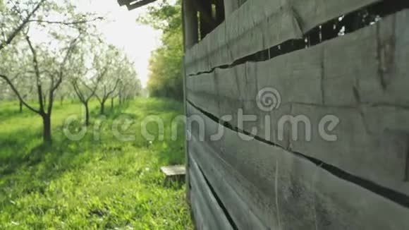 苹果园的木棚墙视频的预览图