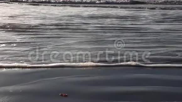 在温暖的热带海滩旁视频的预览图
