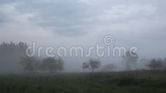 村庄被雾气覆盖视频的预览图
