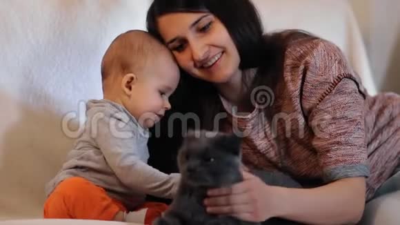 快乐的母子微笑着抚摸着猫视频的预览图