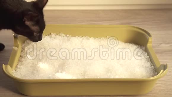白色硅胶晶体猫马桶视频的预览图
