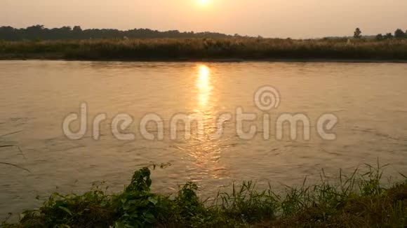 夏天在宁静的河流上日落阳光在平静的水面上反射着绿色的海岸尼泊尔奇旺国家野生动物园视频的预览图