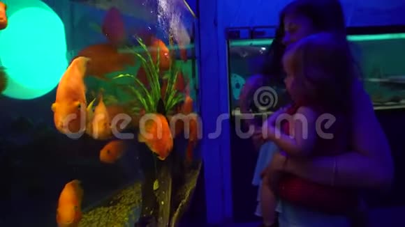 妈妈和小女儿探索异国情调的水族馆视频的预览图