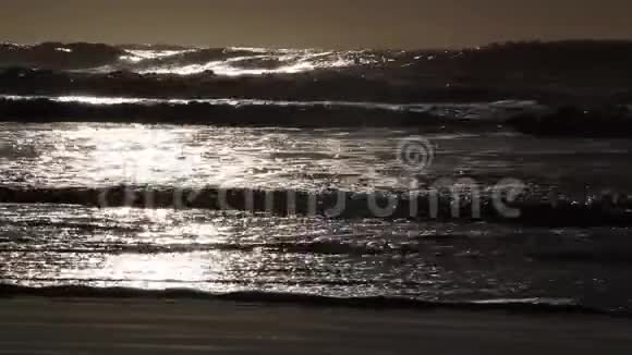 在温暖的热带海滩旁视频的预览图