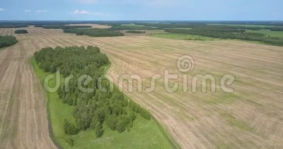 空中乡村景观与收获的农田和森林视频的预览图
