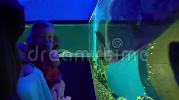 小女儿探索异国水族馆的女人视频的预览图