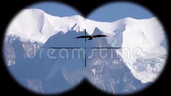 大鹰鸟飞过喜马拉雅山脉通过望远镜看到野生动物野生动物园观鸟视频的预览图