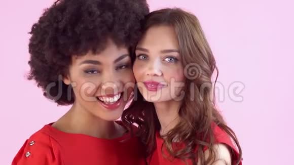 年轻女子工作室孤立在粉红女子笑的特写镜头上视频的预览图