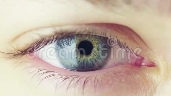 眨眼的人眼虹膜在明亮光线下的收缩视频的预览图