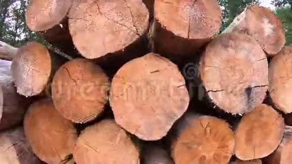 砍伐森林木堆特写的炉子木制品视频的预览图