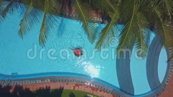 风摇动棕榈叶在游泳池上方女士视频的预览图