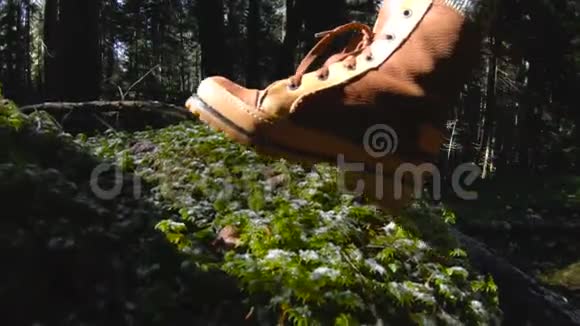 一位积极健康的时髦女摄影师手里拿着相机穿过森林一英尺的特写镜头视频的预览图