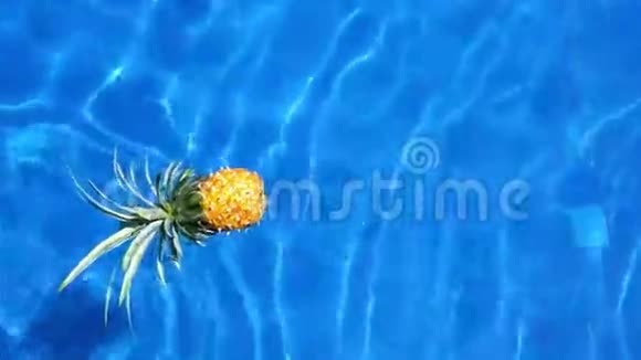 游泳池里新鲜的生机勃勃的菠萝健康的生活方式旅游视频视频的预览图