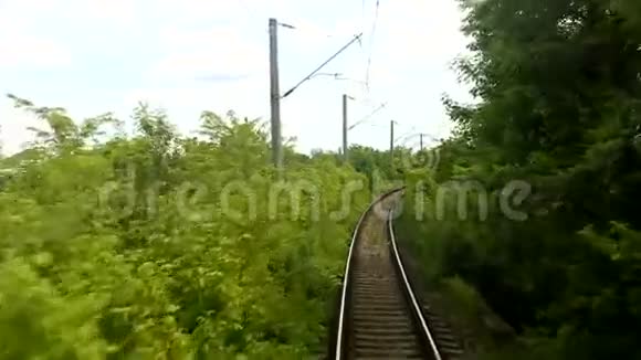 火车穿过森林视频的预览图