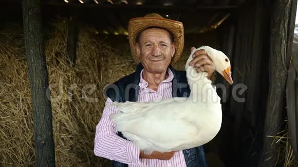 一个戴着草帽的老农夫正抱着一只活白鹅干草背景下一个白鹅男人的肖像视频的预览图