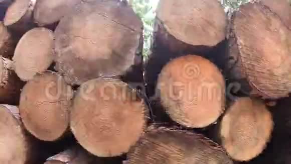 在木堆中放置森林特写清除森林视频的预览图
