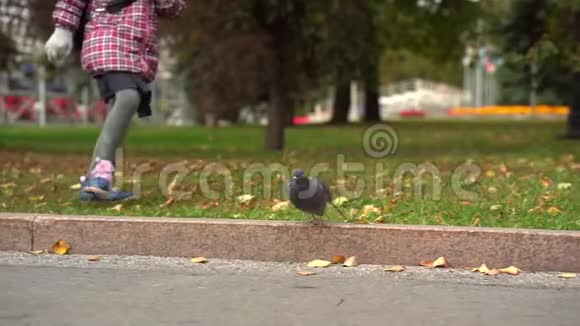 在学校学习之后女童女学生在人行道上玩鸽子她追着他们跑他们就飞走了视频的预览图
