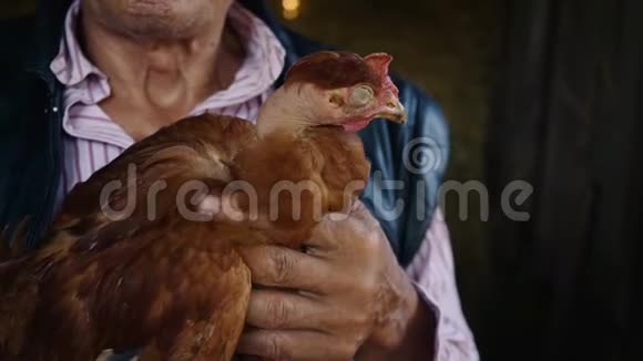 一个戴草帽的老农正在抱一只活鸡干草背景下一个带鸡的人的肖像视频的预览图