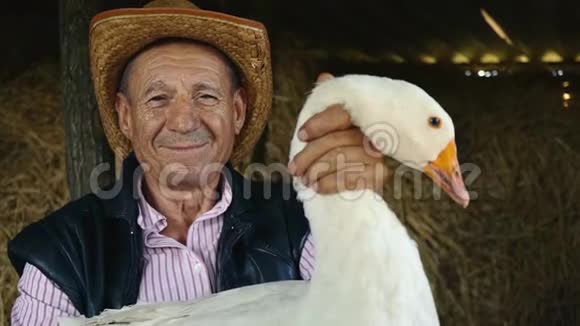 一个戴着草帽的老农夫正抱着一只活白鹅干草背景下一个白鹅男人的肖像视频的预览图