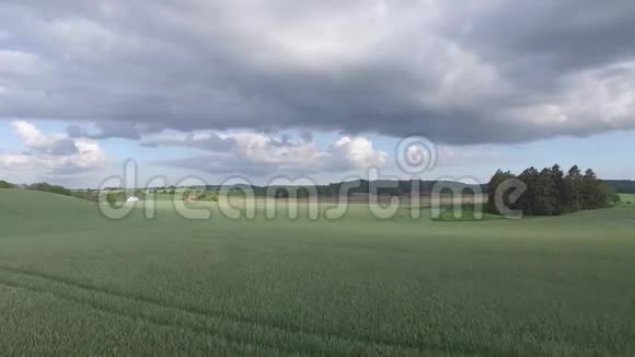 无人机视野飞越农村美丽的麦田视频的预览图