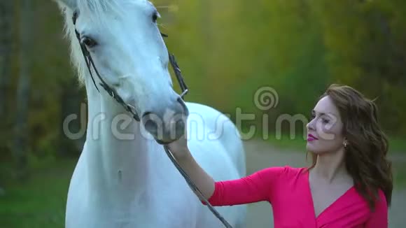 年轻浪漫的女孩穿着红色的裙子和白马在阳光下散步秋天和她的种马的女骑士视频的预览图