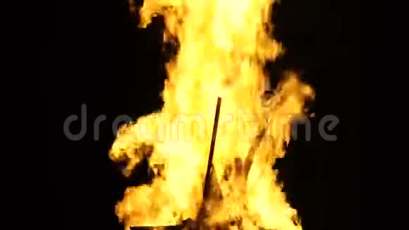 大火大火烧柴火视频的预览图