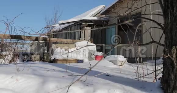 冬天在村子里的后院视频的预览图