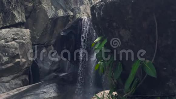 山瀑布流在雨林中的岩石和绿色植物上小河流水溅到石头上视频的预览图